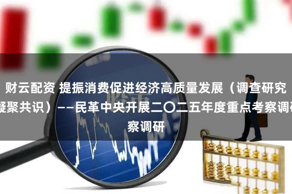 财云配资 提振消费促进经济高质量发展（调查研究 凝聚共识）——民革中央开展二〇二五年度重点考察调研