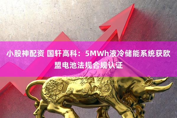 小股神配资 国轩高科：5MWh液冷储能系统获欧盟电池法规合规认证